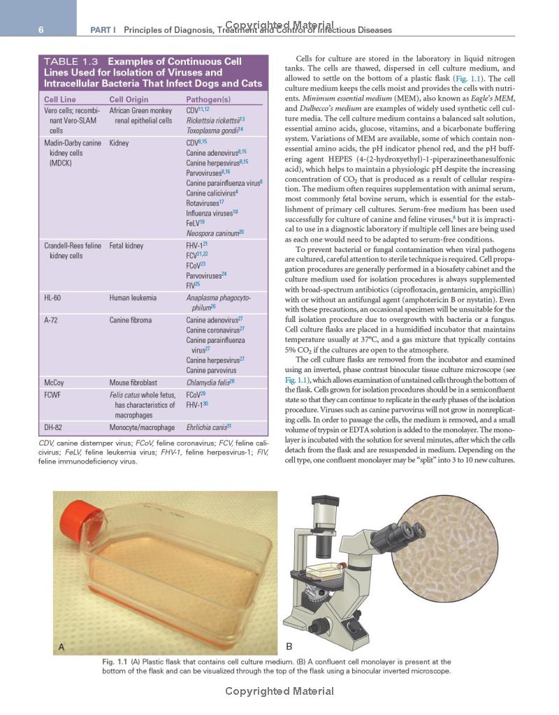 Greene's Infectious Diseases of the Dog and Cat 5th Edition - Image 5