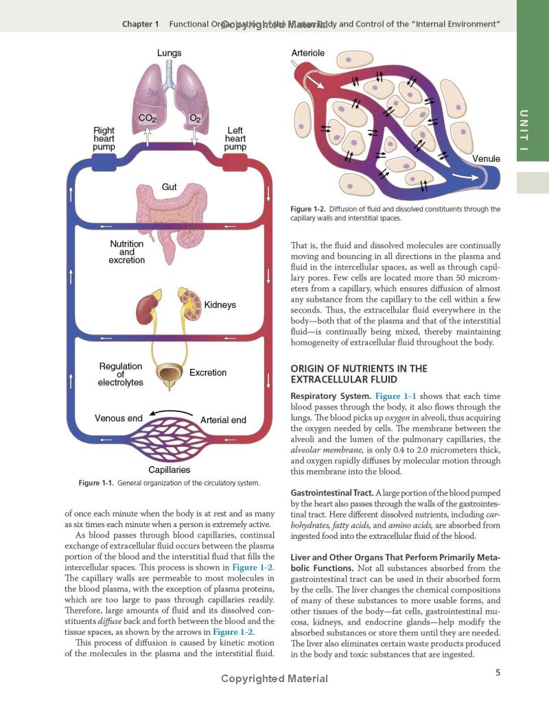 Guyton and Hall Textbook of Medical Physiology (Guyton Physiology) 14th Edition - Image 4
