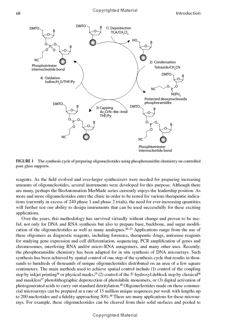 Handbook of Analysis of Oligonucleotides and Related Products 1st Edition - Image 4