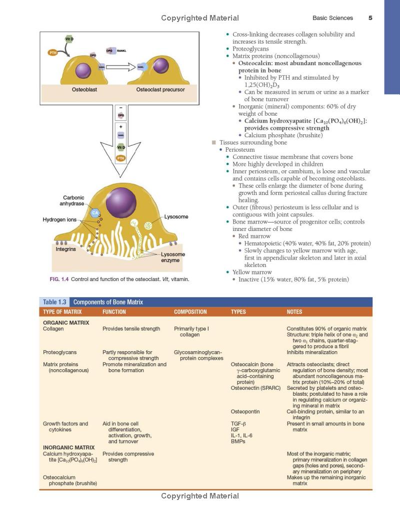 Miller's Review of Orthopaedics (Miller'sOrthopaedics) 8th Edition - Image 4