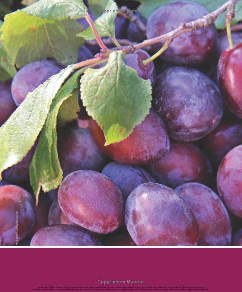 Understanding Nutrition 14th Edition - Image 3