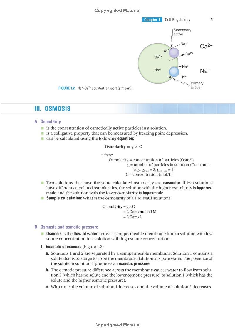 BRS Physiology (Board Review Series) 7th Edition - Image 4