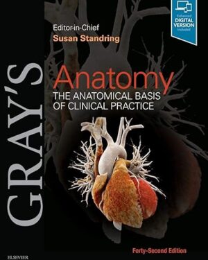 Gray's Anatomy The Anatomical Basis of Clinical Practice 42nd Edition