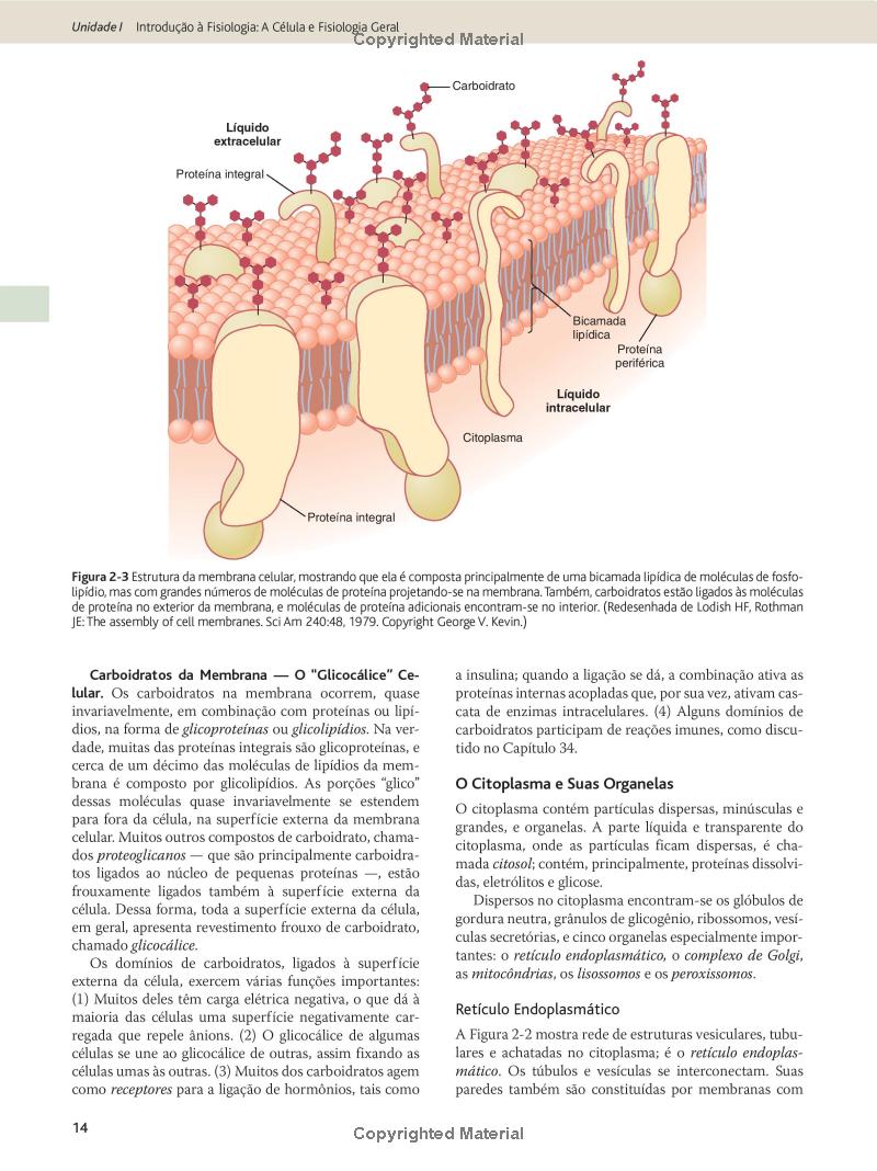 Tratado De Fisiologia Médica PDF, eBook, Instant Download - Image 3
