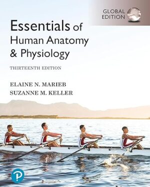 Essentials of Human Anatomy & Physiology 13th Global Edition PDF, eBook, Instant Download