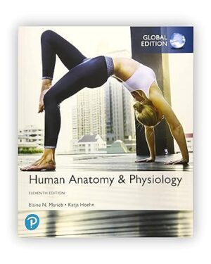 Human Anatomy & Physiology 11th Global Edition PDF, eBook, Instant Download