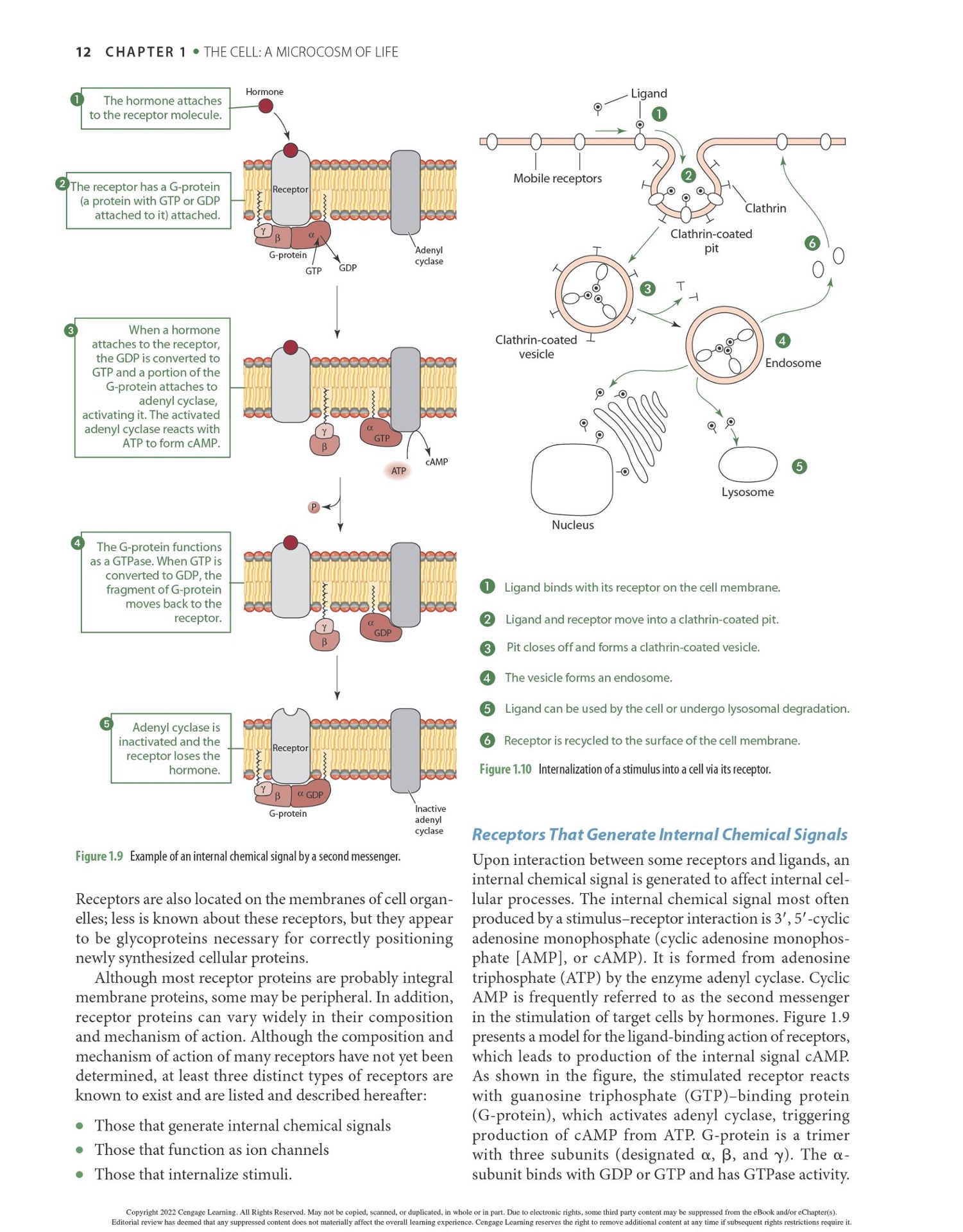 Advanced Nutrition and Human Metabolism 8th Edition PDF, eBook, Instant Download - Image 3
